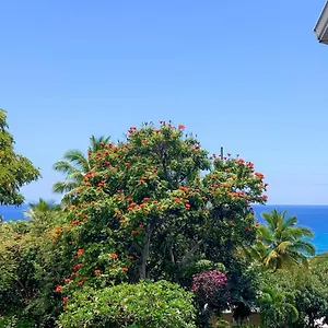  Apartment A Little Aloha